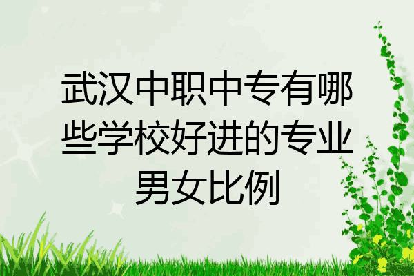 武汉中职中专有哪些学校好进的专业男女比例