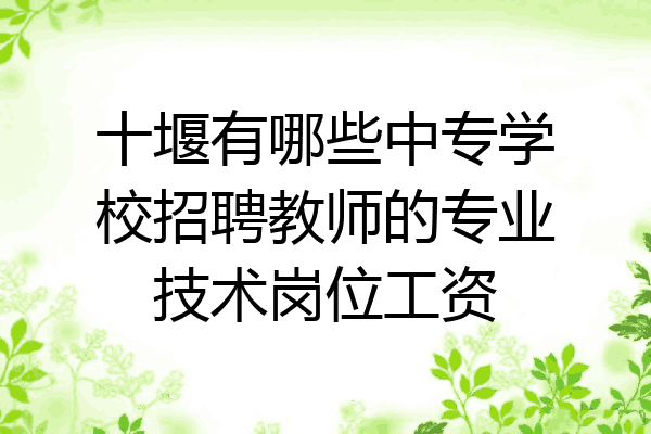 十堰有哪些中专学校招聘教师的专业技术岗位工资