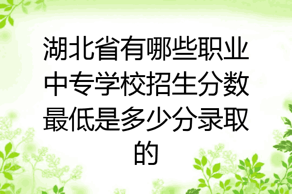 湖北省有哪些职业中专学校招生分数最低是多少分录取的