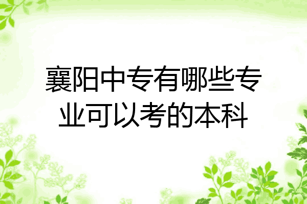 襄阳中专有哪些专业可以考的本科
