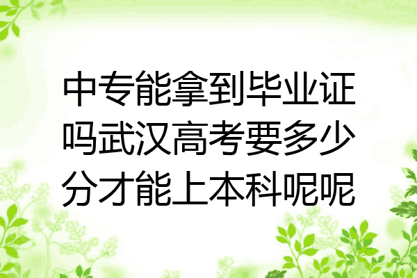 中专能拿到毕业证吗武汉高考要多少分才能上本科呢呢