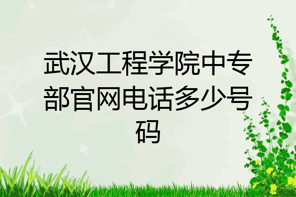 武汉工程学院中专部官网电话多少号码
