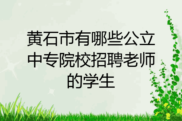 黄石市有哪些公立中专院校招聘老师的学生