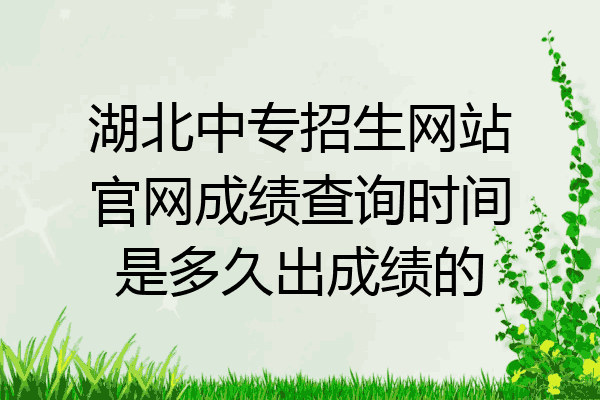 湖北中专招生网站官网成绩查询时间是多久出成绩的