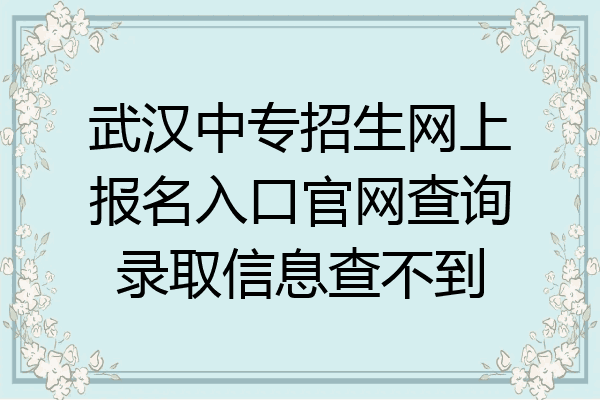 武汉中专招生网上报名入口官网查询录取信息查不到
