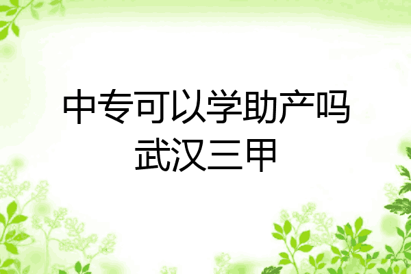 中专可以学助产吗武汉三甲