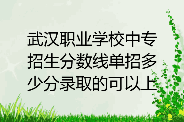 武汉职业学校中专招生分数线单招多少分录取的可以上