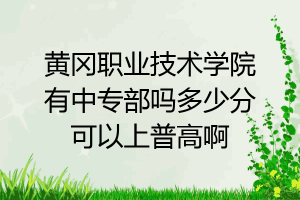 黄冈职业技术学院有中专部吗多少分可以上普高啊