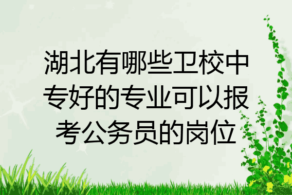 湖北有哪些卫校中专好的专业可以报考公务员的岗位