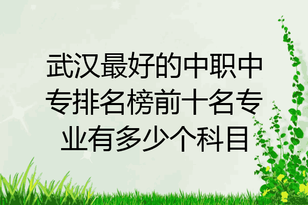 武汉最好的中职中专排名榜前十名专业有多少个科目