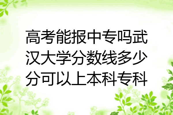高考能报中专吗武汉大学分数线多少分可以上本科专科