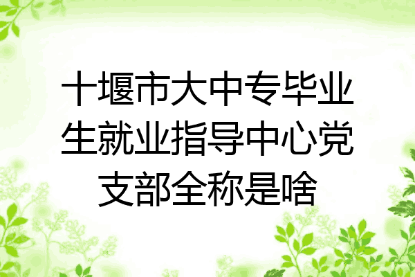 十堰市大中专毕业生就业指导中心党支部全称是啥