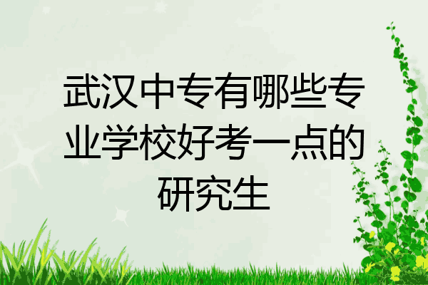 武汉中专有哪些专业学校好考一点的研究生