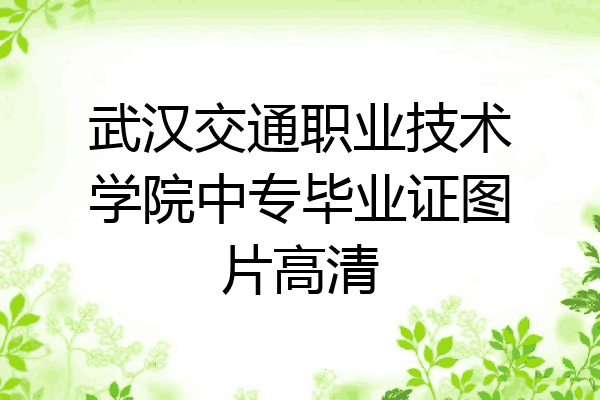 武汉交通职业技术学院中专毕业证图片高清