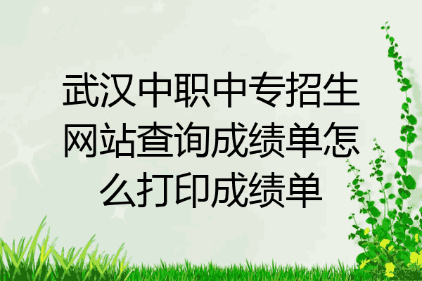 武汉中职中专招生网站查询成绩单怎么打印成绩单