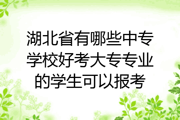湖北省有哪些中专学校好考大专专业的学生可以报考
