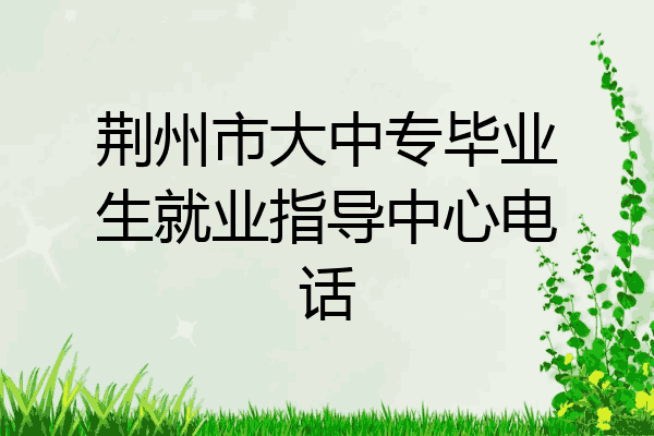 荆州市大中专毕业生就业指导中心电话