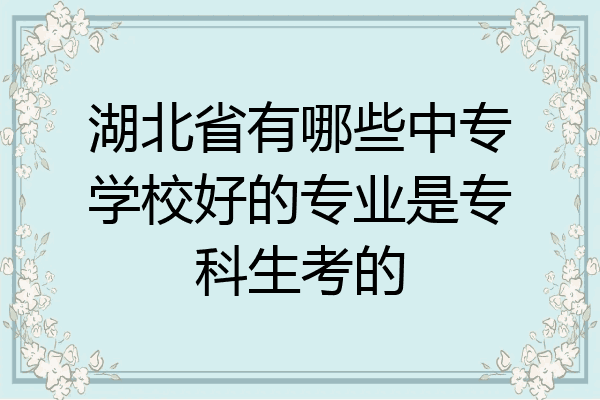 湖北省有哪些中专学校好的专业是专科生考的