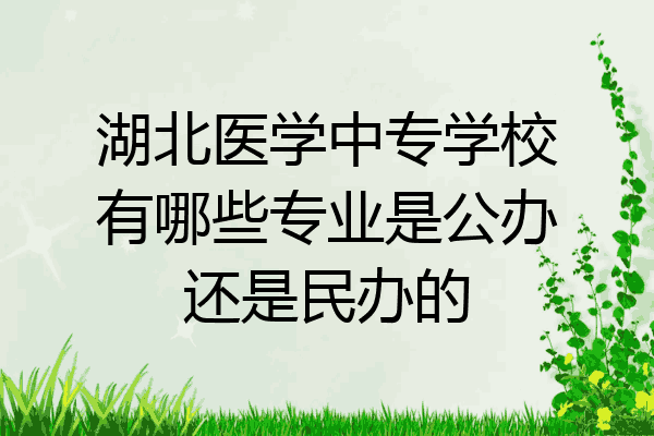 湖北医学中专学校有哪些专业是公办还是民办的