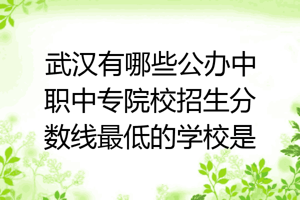 武汉有哪些公办中职中专院校招生分数线最低的学校是