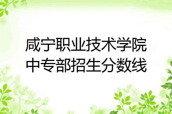 咸宁职业技术学院中专部招生分数线