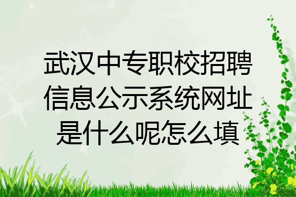 武汉中专职校招聘信息公示系统网址是什么呢怎么填