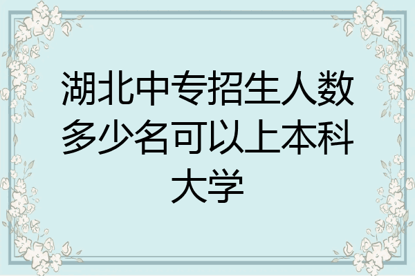 湖北中专招生人数多少名可以上本科大学