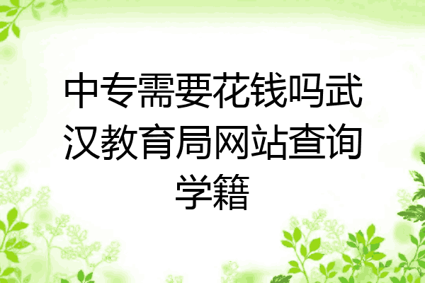 中专需要花钱吗武汉教育局网站查询学籍