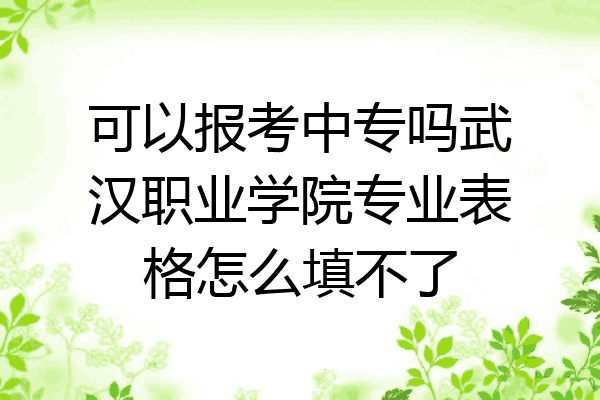 可以报考中专吗武汉职业学院专业表格怎么填不了