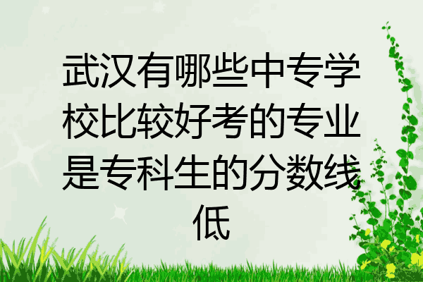 武汉有哪些中专学校比较好考的专业是专科生的分数线低