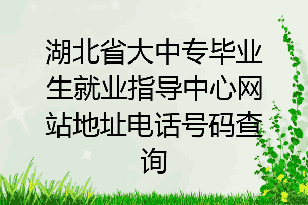 湖北省大中专毕业生就业指导中心网站地址电话号码查询