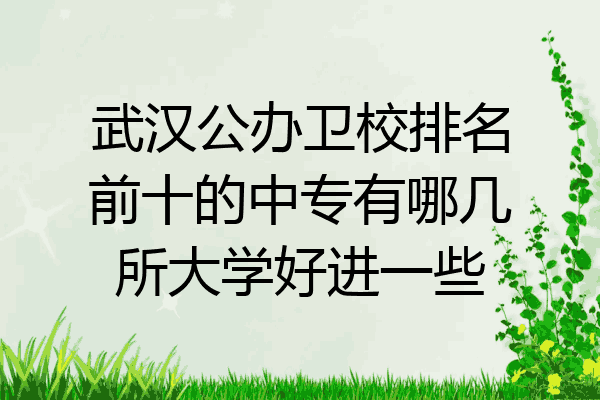 武汉公办卫校排名前十的中专有哪几所大学好进一些
