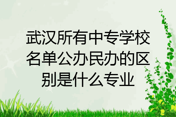 武汉所有中专学校名单公办民办的区别是什么专业