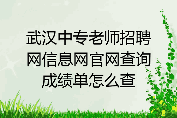 武汉中专老师招聘网信息网官网查询成绩单怎么查