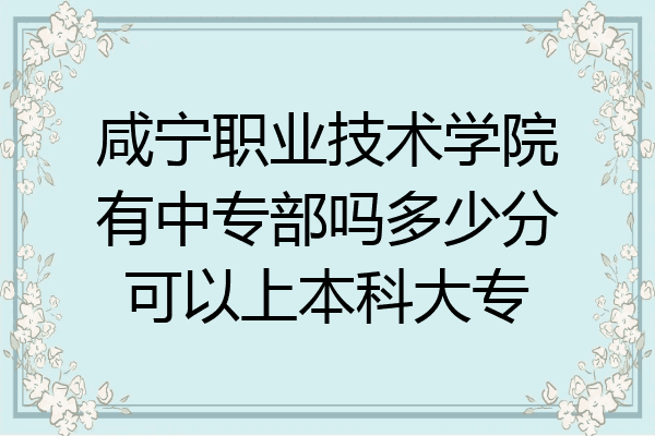 咸宁职业技术学院有中专部吗多少分可以上本科大专