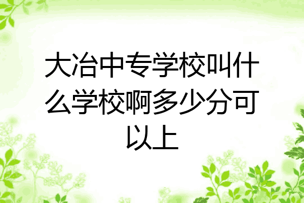 大冶中专学校叫什么学校啊多少分可以上