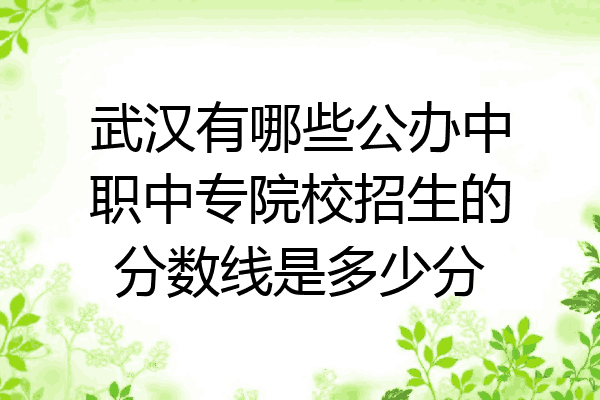 武汉有哪些公办中职中专院校招生的分数线是多少分