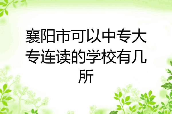襄阳市可以中专大专连读的学校有几所