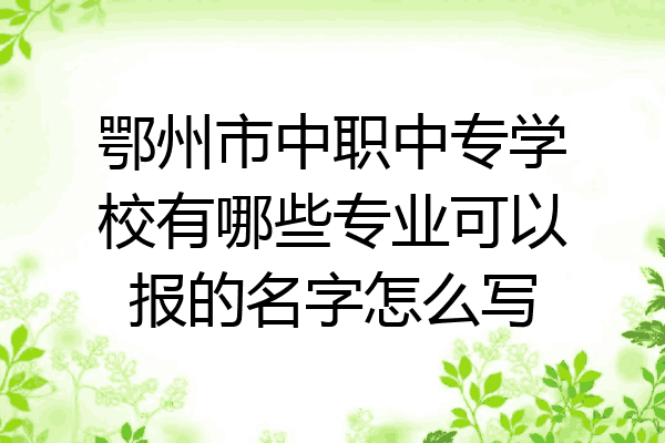 鄂州市中职中专学校有哪些专业可以报的名字怎么写