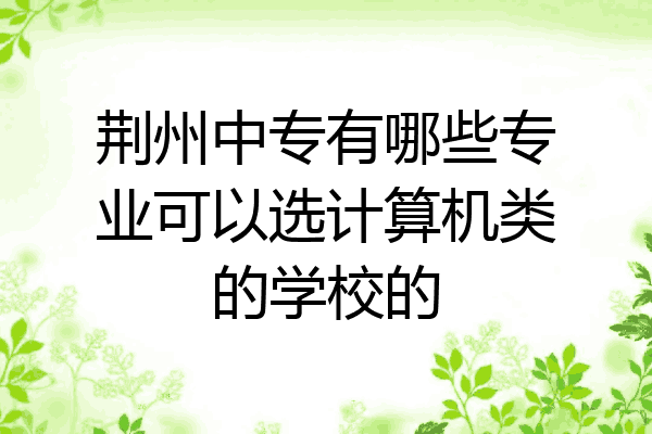 荆州中专有哪些专业可以选计算机类的学校的