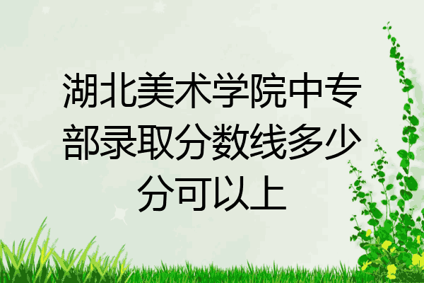 湖北美术学院中专部录取分数线多少分可以上