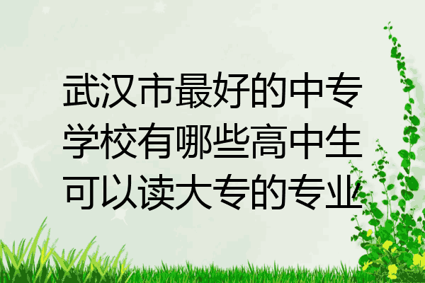 武汉市最好的中专学校有哪些高中生可以读大专的专业