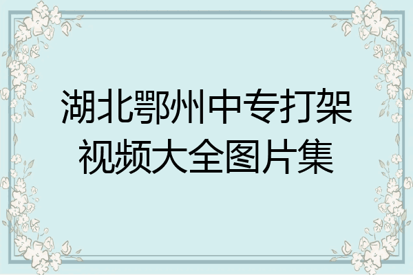 湖北鄂州中专打架视频大全图片集