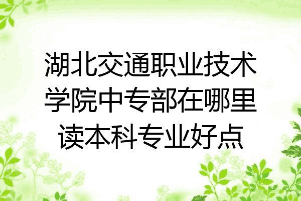 湖北交通职业技术学院中专部在哪里读本科专业好点