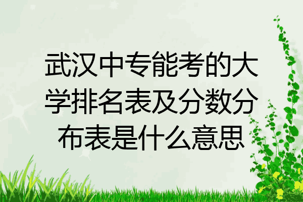 武汉中专能考的大学排名表及分数分布表是什么意思