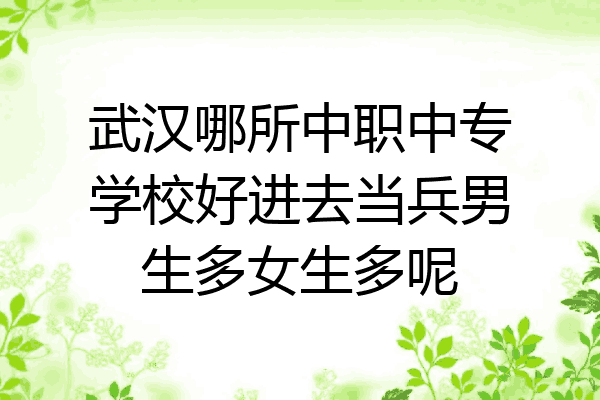 武汉哪所中职中专学校好进去当兵男生多女生多呢