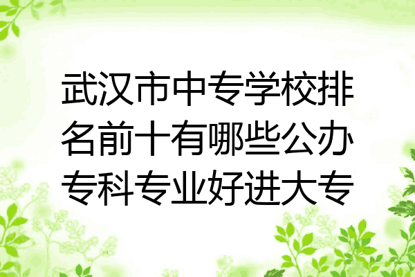 武汉市中专学校排名前十有哪些公办专科专业好进大专