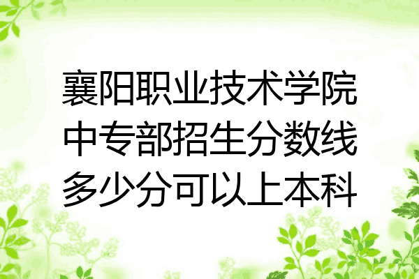 襄阳职业技术学院中专部招生分数线多少分可以上本科