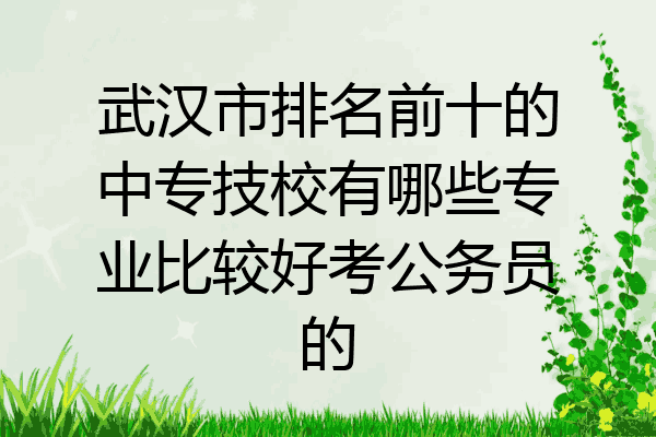 武汉市排名前十的中专技校有哪些专业比较好考公务员的