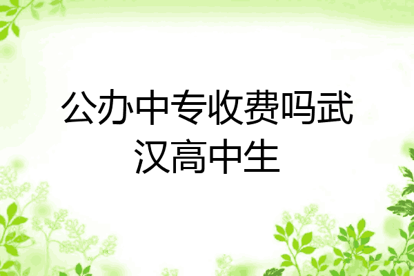 公办中专收费吗武汉高中生